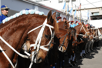 CELEBRACIN DEL 114 ANIVERSARIO DE CABALLERA